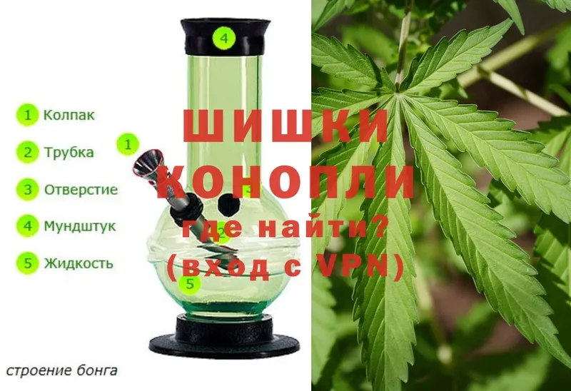 мориарти клад  Изобильный  Бошки марихуана THC 21% 